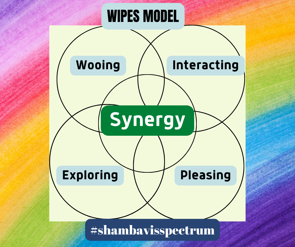 This image is indicative of the WIPES model proposed by the author to communicate with the customer.
WIPES model
Wooing
Interacting
Pleasing
Exploring
and finding
Synergies
